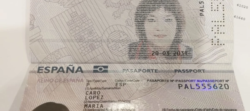 BECHAMEL DE PIMIENTO DE PIQUILLO