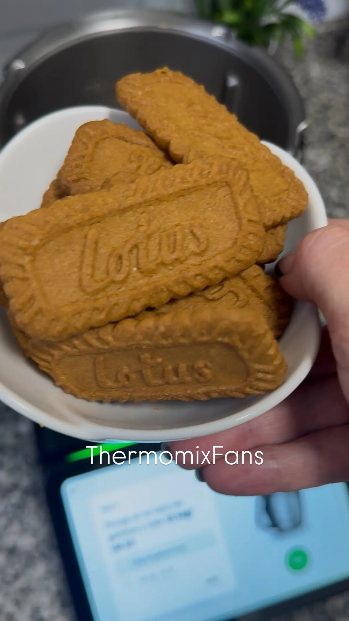 Step Añade 100 g de galletas Lotus al vaso y programa 10 segundos a velocidad 10.
Baja las galletas con la espátula.
illustration