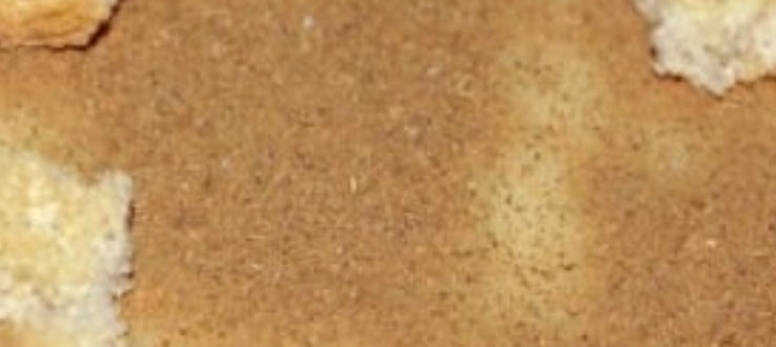 POLEAS CON THERMOMIX