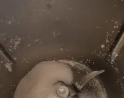 Step <p>Precaliente el horno a 135º </p><p> Poner en el vaso 100 g. de azúcar, junto con la piel de limón y pulverizar 15 segundos, velocidad 7.</p><p>Sacar a un bol y reservar. </p><p>Añadir al bol los granillos de Almendras y la canela molida.</p><p><br></p><p><br></p><p><br></p><p><br></p><p><br></p><p><br></p><p><br></p><p><br></p><p><br></p><p><br></p><p><br></p><p><br></p><p><br></p><p><br></p><p><br></p><p><br></p><p><br></p><p><br></p><p><br></p> illustration