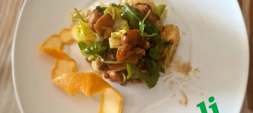 ENSALADA DE POLLO, NARANJA Y RUCULA DE NELI