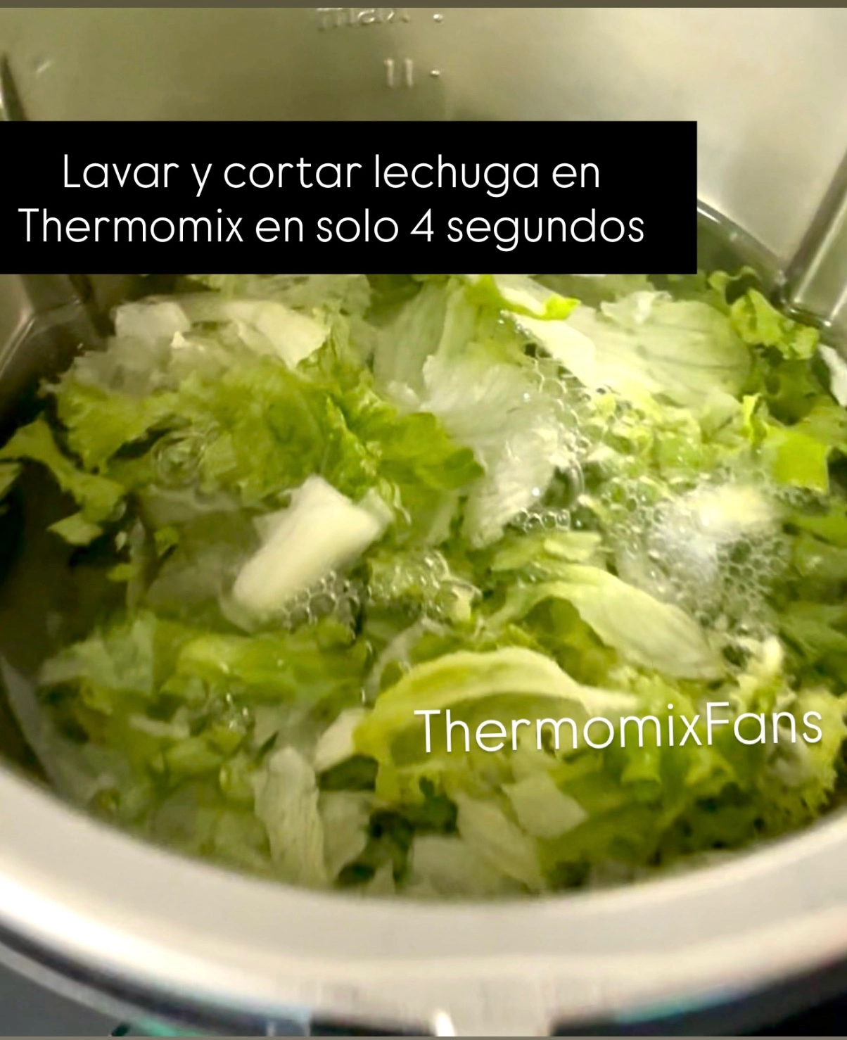 Cómo cortar y lavar lechuga 2 en 1 en Thermomix
