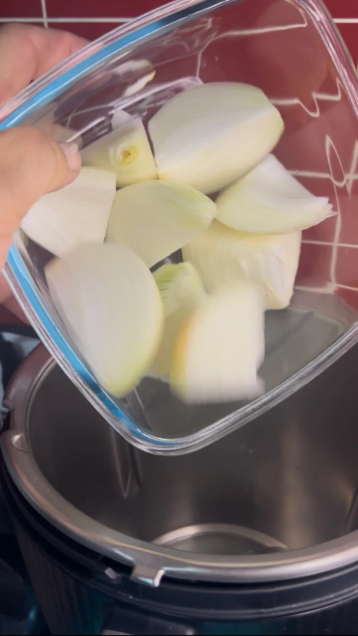 Step 3. Vaso: cebolla y ajo trocear 5seg/vel.5.
Bajar los ingredientes al fondo del vaso. illustration