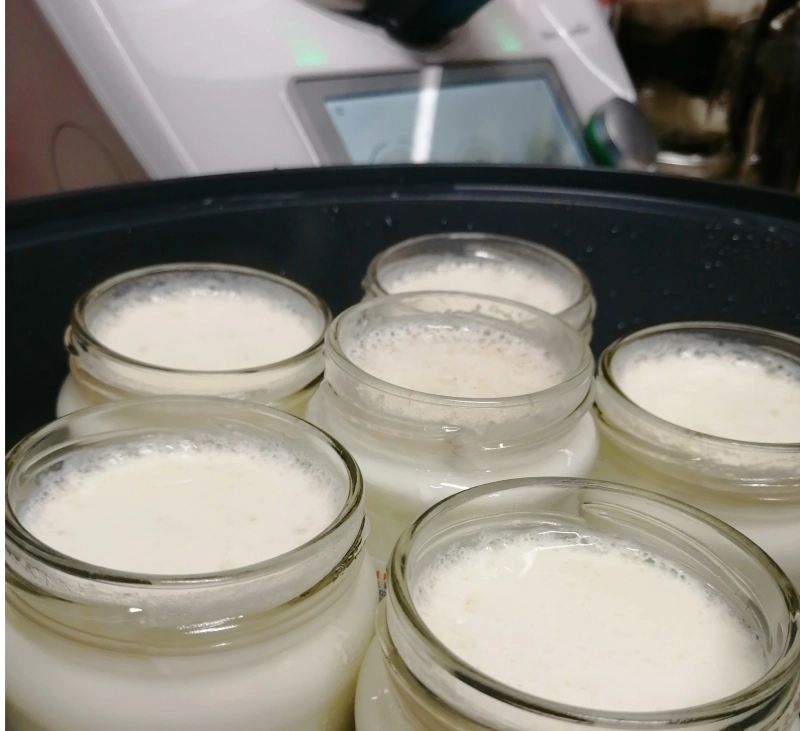 YOGUR DE AVENA AL AROMA DE CÁTRICOS