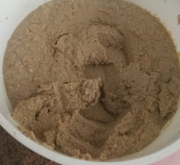 COMIDA HÚMEDA PARA GATOS CASERA