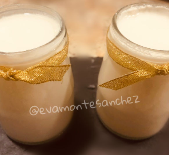 YOGURT DE VAINILLA, MODO FERMENTAR EN TM6